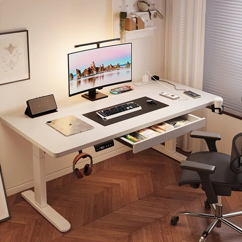 Modern Iron Dual Motor Electri - Setup Desk Monitor ulasan dan harga
